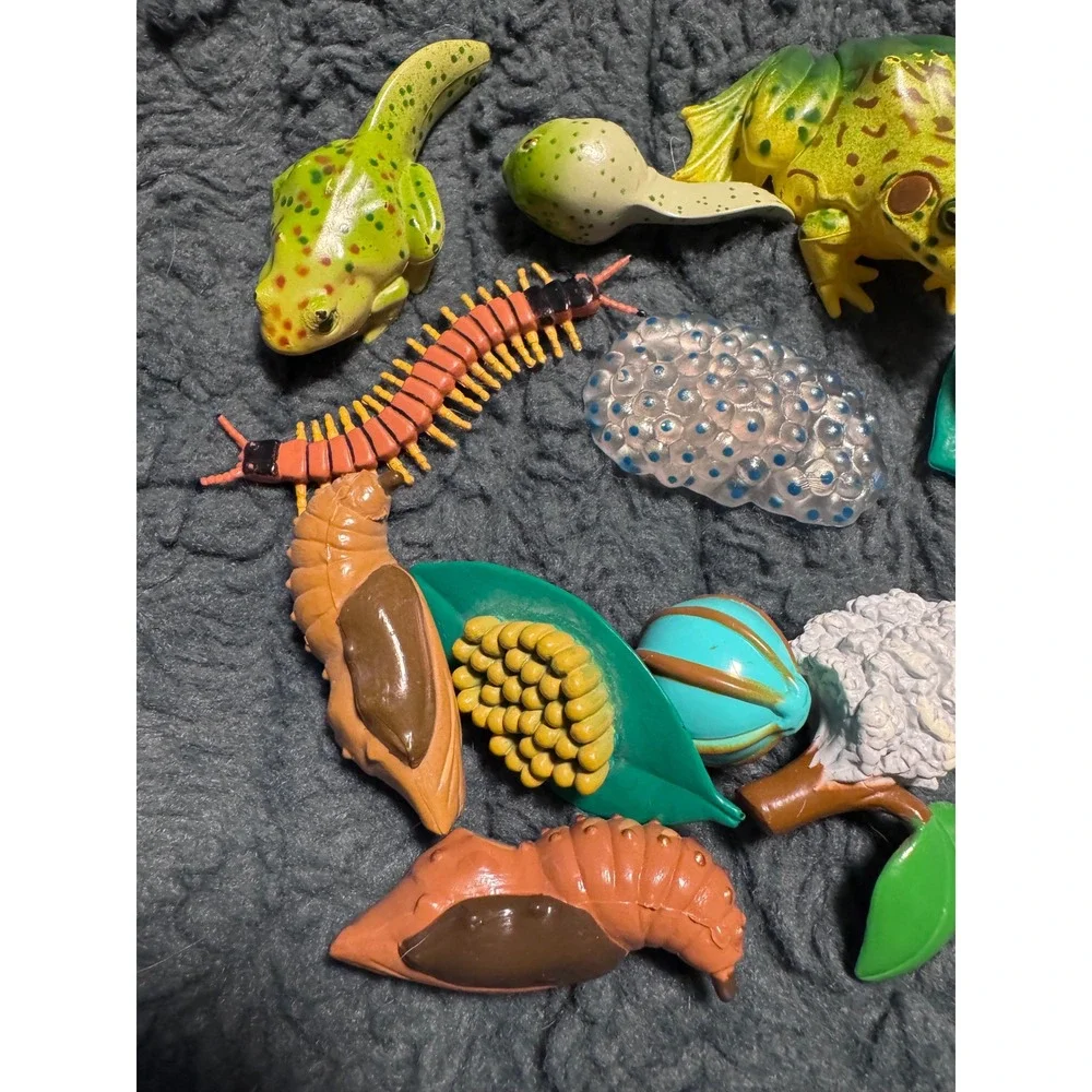 Life Cycle Toy Set Frog Butterfly Insect Educational Science Figures Lot